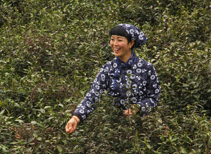 恋秀直播